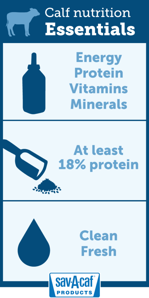 milk-replacer-for-calves
